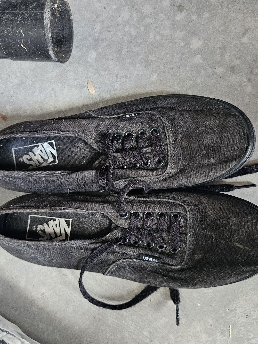 Vans Black Canvas Low-Top Sneakers